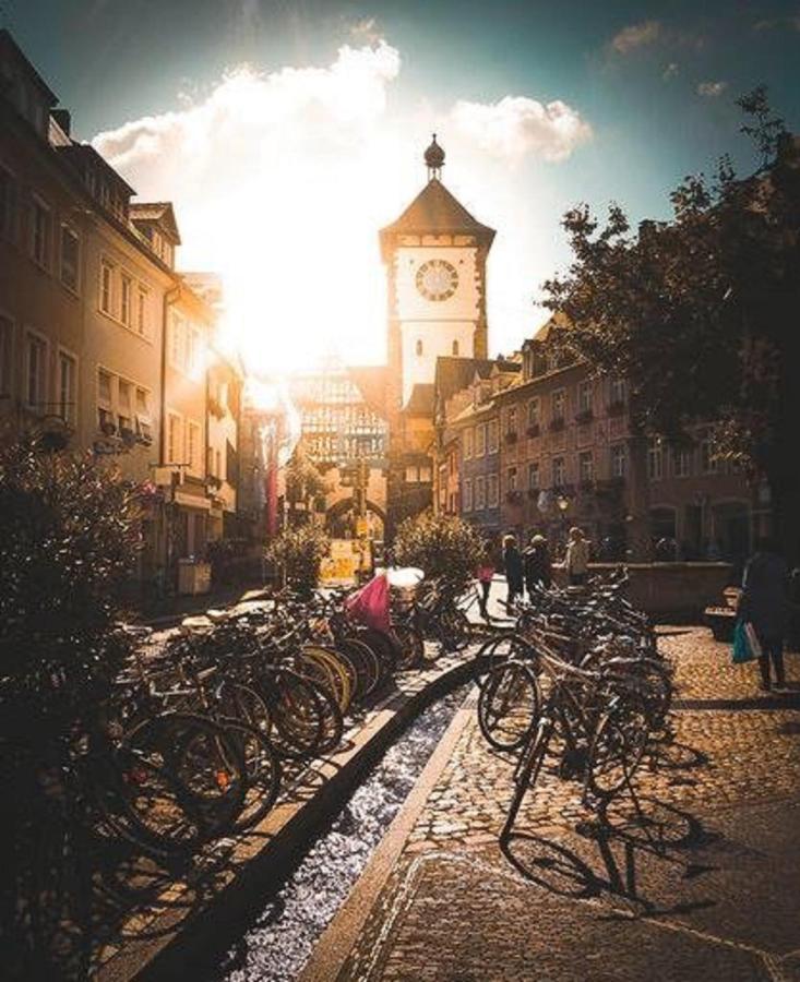 Studio Rome In Der Altstadt Διαμέρισμα Φράιμπουργκ Εξωτερικό φωτογραφία